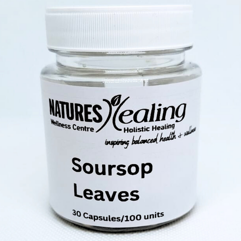 Soursop Leaves